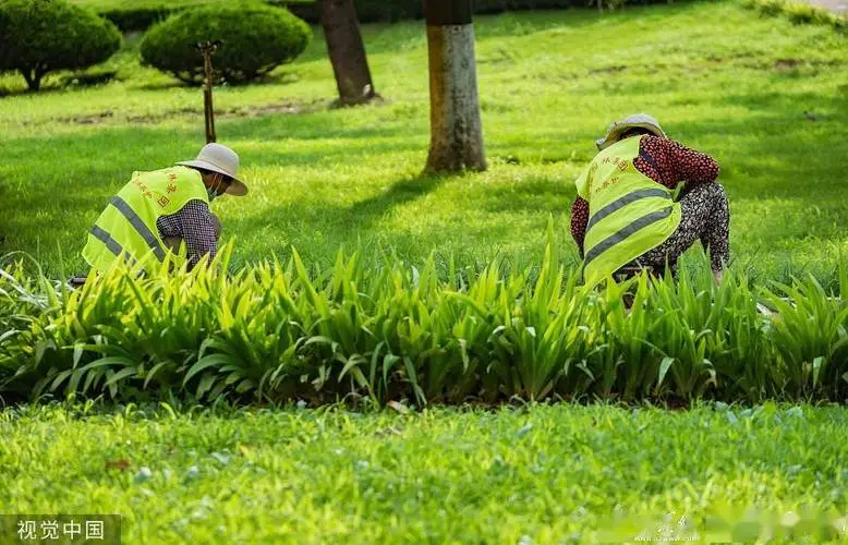 永州城市绿化护栏规范