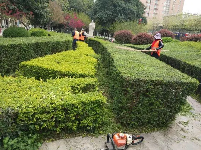 别墅园林景观设计方案