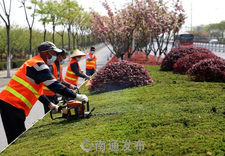 珠海绿化工程师证