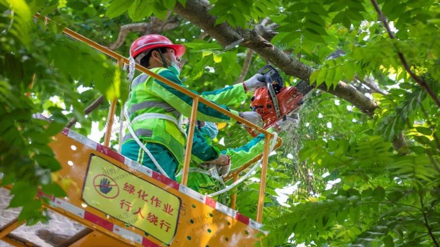 绿化工程要注意的事项是什么